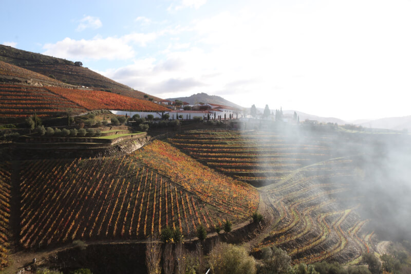 Quinta Nova Reserva Touriga Nacional