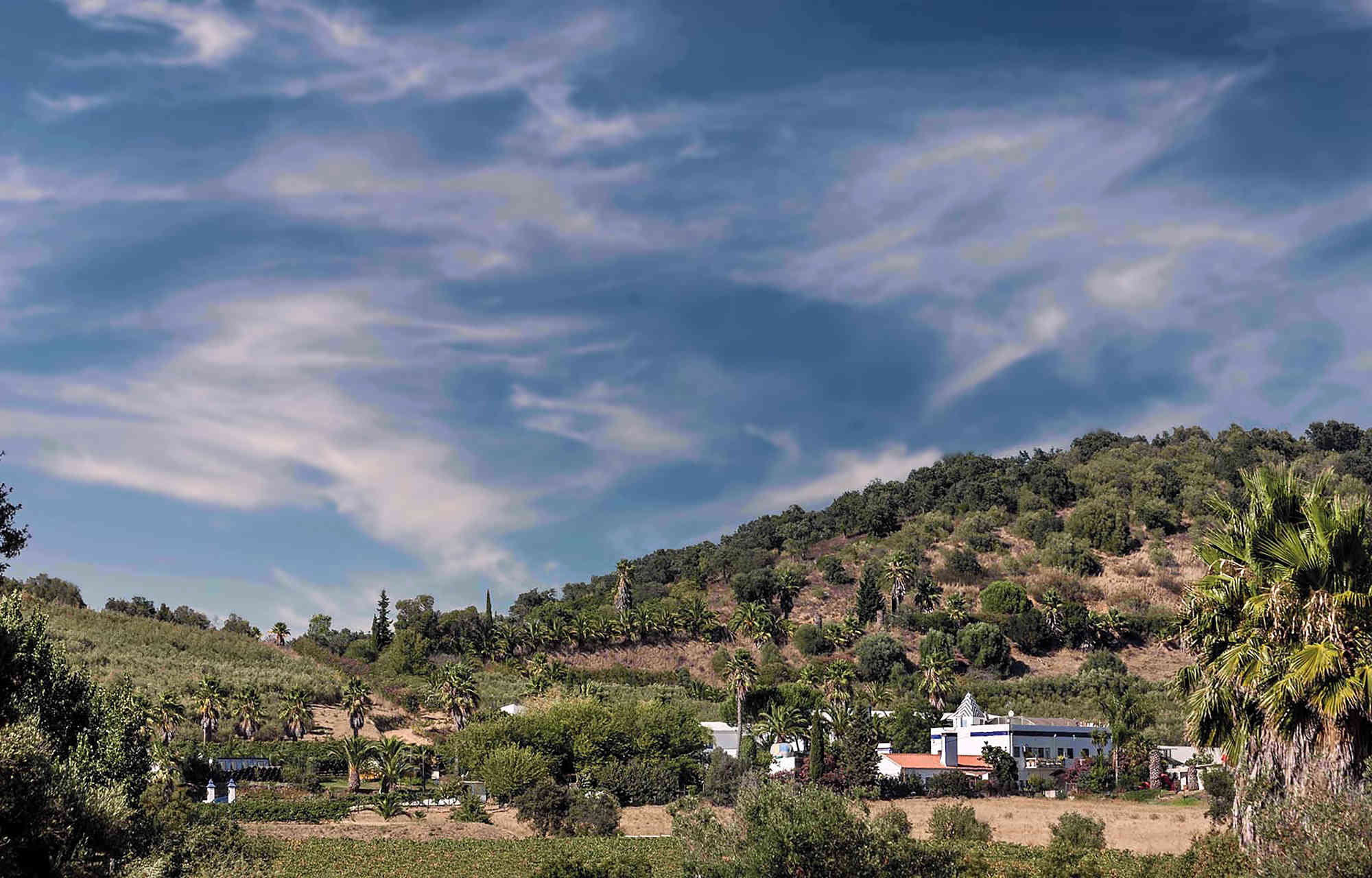 Plansel Selecta Touriga Nacional