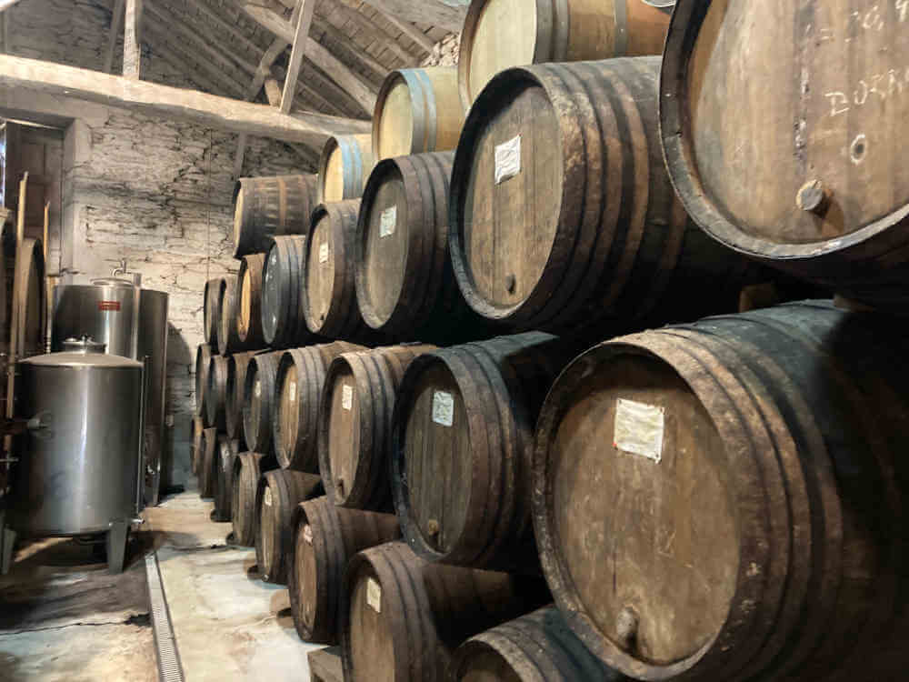 Pintas Vintage Port