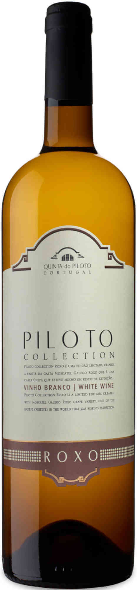 Piloto-Collection-Moscatel-Roxo