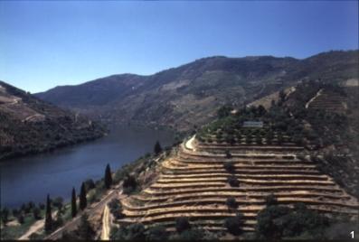 der Douro und Graham's Quinta dos Malvedos