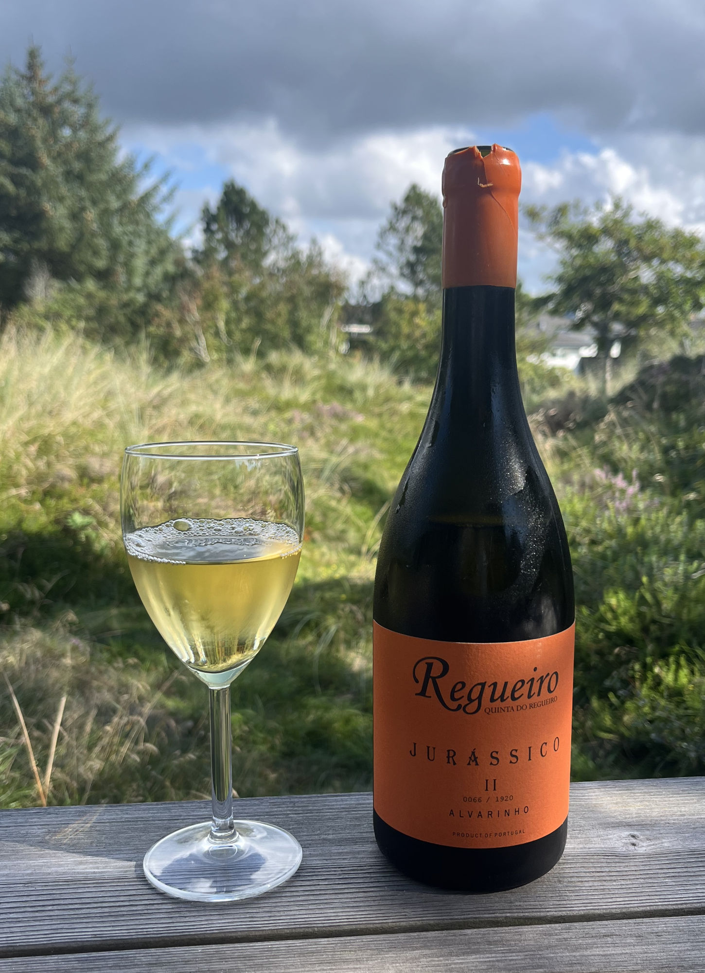 Regueiro Jurassico Vinho Verde