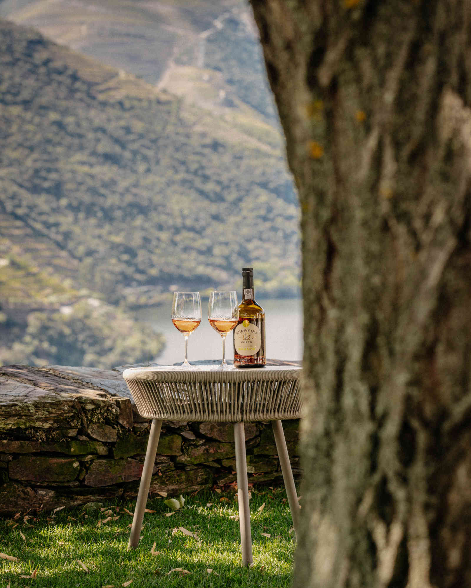 Ferreira Dry White Port
