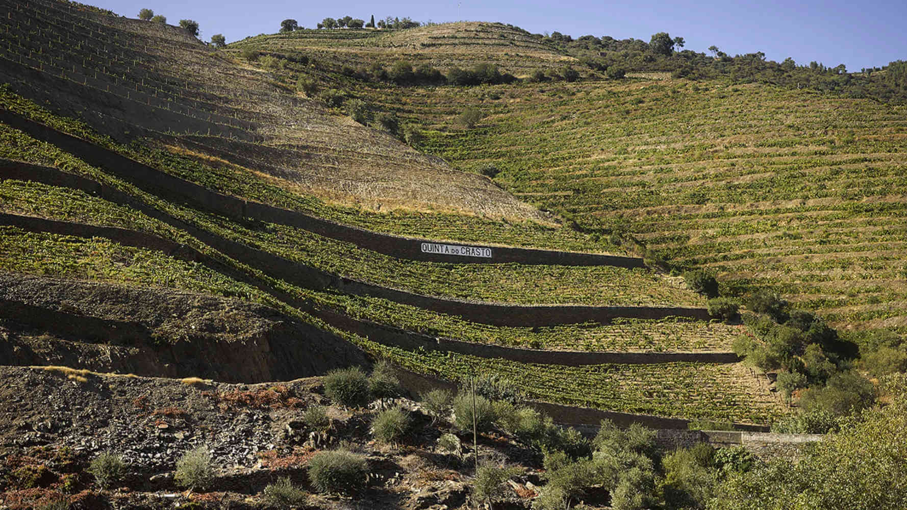 Quinta do Crasto Vinha da Ponte